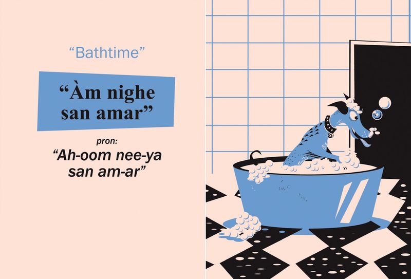 A phrasebook with a difference for Gaelic learners!